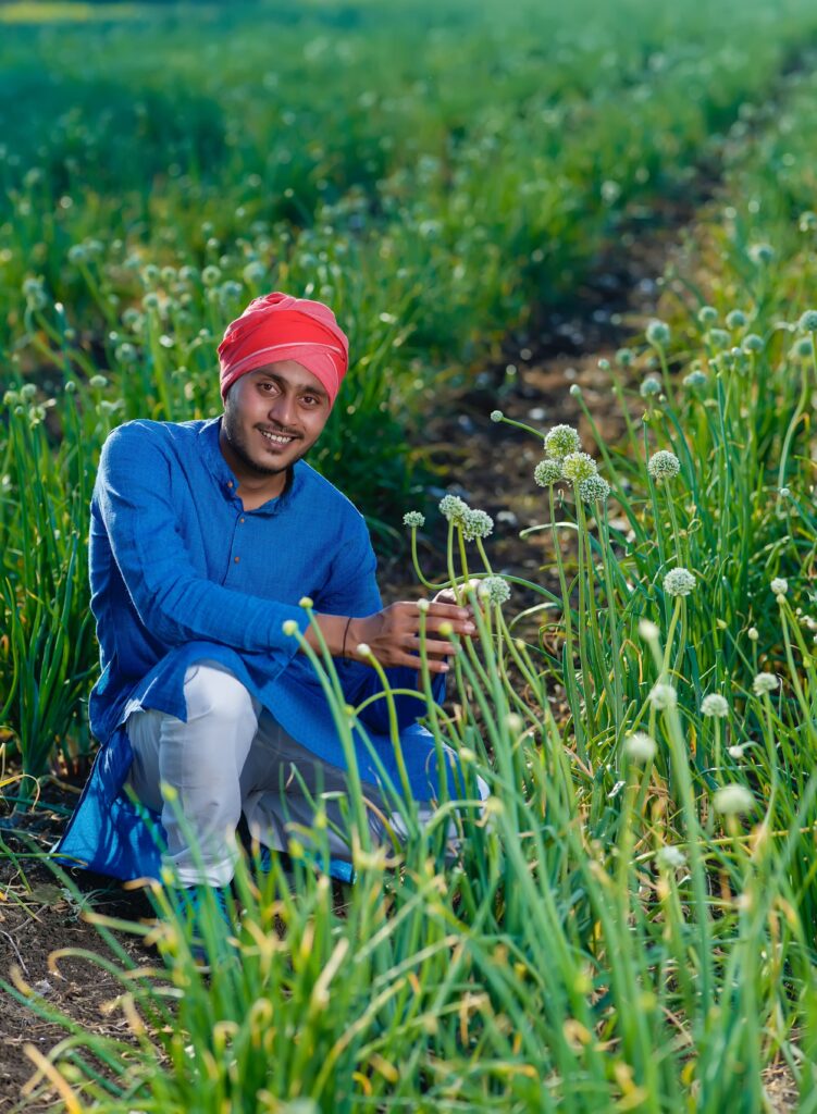 Managed Farmland near Bangalore