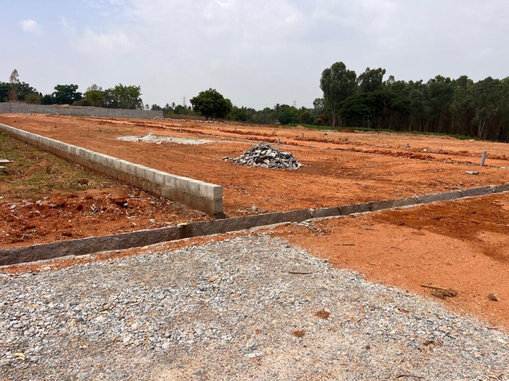 WhatsApp Image 2024 05 16 at 11.11.29 AM